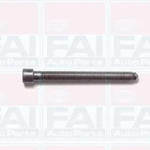 Zamów teraz Zestaw śrub głowicy cylindrów FAI AUTOPARTS B1006